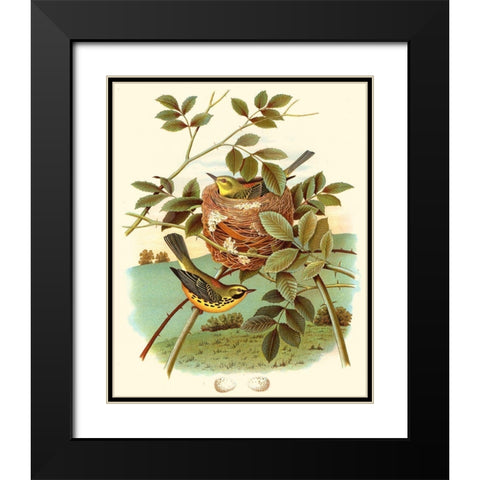 Feathering Nest IV Black Modern Wood Framed Art Print with Double Matting by Unknown