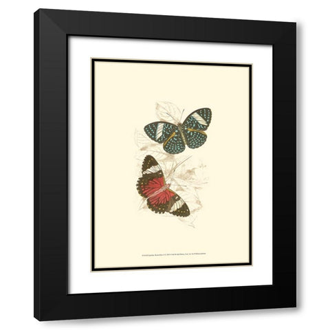 Jardine Butterflies I Black Modern Wood Framed Art Print with Double Matting by Jardine, Sir William