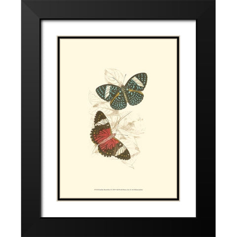 Jardine Butterflies I Black Modern Wood Framed Art Print with Double Matting by Jardine, Sir William