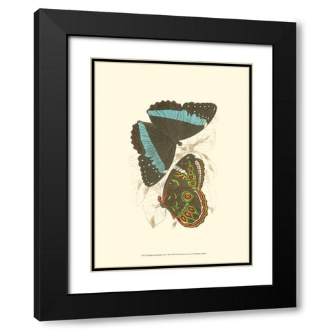 Jardine Butterflies VI Black Modern Wood Framed Art Print with Double Matting by Jardine, Sir William