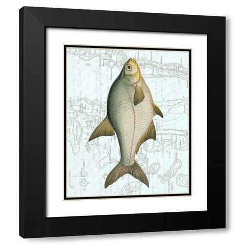 Freshwater I Black Modern Wood Framed Art Print with Double Matting by Vision Studio