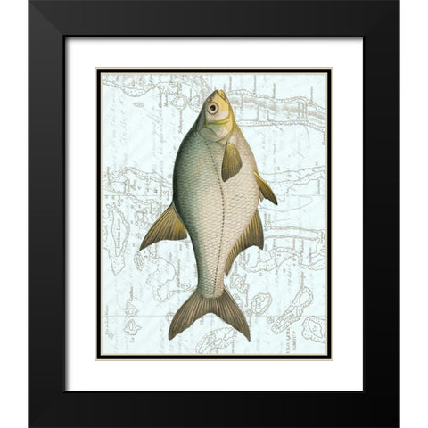 Freshwater I Black Modern Wood Framed Art Print with Double Matting by Vision Studio