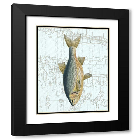 Freshwater II Black Modern Wood Framed Art Print with Double Matting by Vision Studio