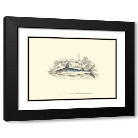 Lizars Game Fish IV Black Modern Wood Framed Art Print with Double Matting by Lizars, W.H.