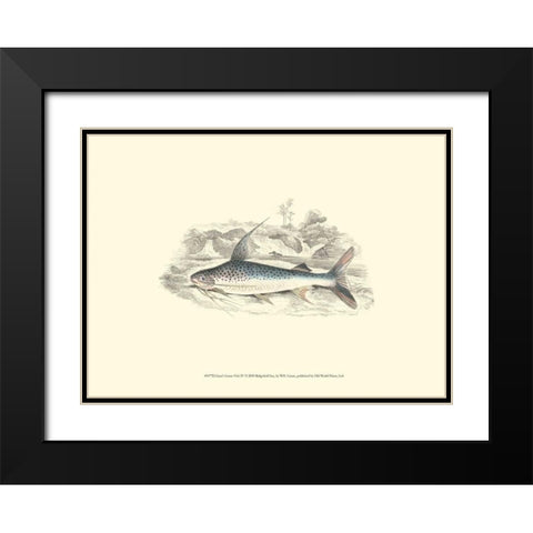 Lizars Game Fish IV Black Modern Wood Framed Art Print with Double Matting by Lizars, W.H.