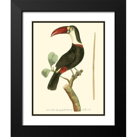 Crimson Birds VI Black Modern Wood Framed Art Print with Double Matting by Nodder, Frederick P.