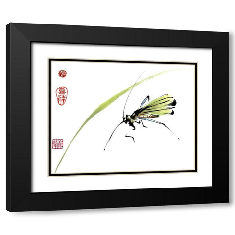 Grasshopper Black Modern Wood Framed Art Print with Double Matting by Parker, Nan Rae