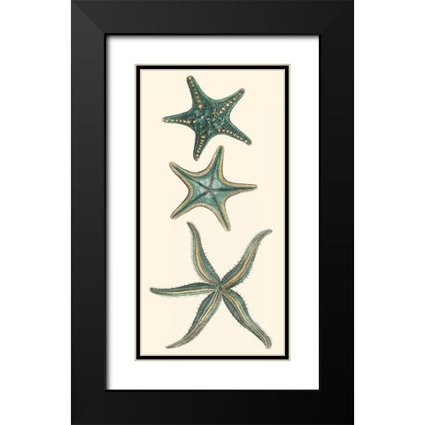 Aquamarine Starfish I Black Modern Wood Framed Art Print with Double Matting by Vision Studio