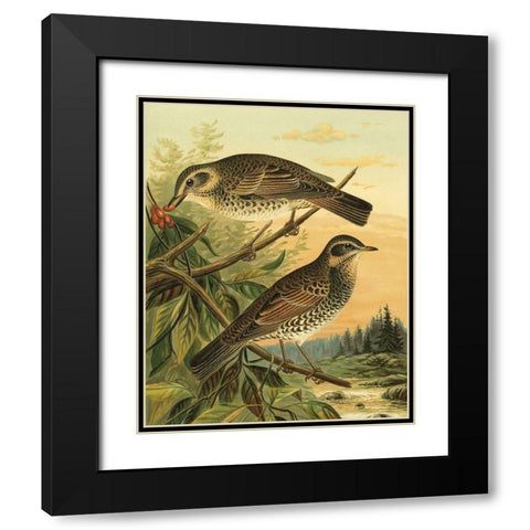 Small Woodland Birds II Black Modern Wood Framed Art Print with Double Matting by Vision Studio