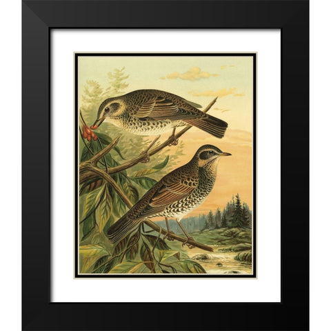 Small Woodland Birds II Black Modern Wood Framed Art Print with Double Matting by Vision Studio