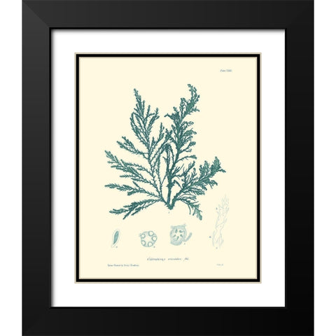 Nature Print in Aqua I Black Modern Wood Framed Art Print with Double Matting by Vision Studio