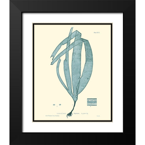 Nature Print in Aqua II Black Modern Wood Framed Art Print with Double Matting by Vision Studio