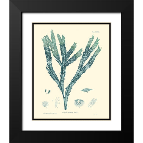 Nature Print in Aqua III Black Modern Wood Framed Art Print with Double Matting by Vision Studio