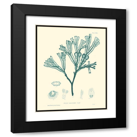Nature Print in Aqua IV Black Modern Wood Framed Art Print with Double Matting by Vision Studio