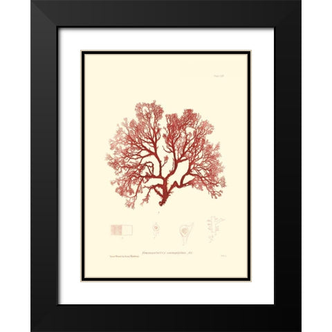 Nature Print in Coral II Black Modern Wood Framed Art Print with Double Matting by Vision Studio