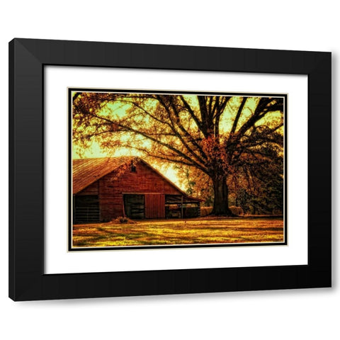 Last Tree Standing Black Modern Wood Framed Art Print with Double Matting by Head, Danny