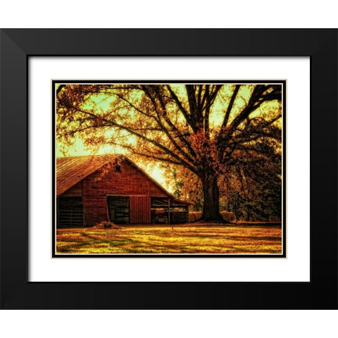 Last Tree Standing Black Modern Wood Framed Art Print with Double Matting by Head, Danny
