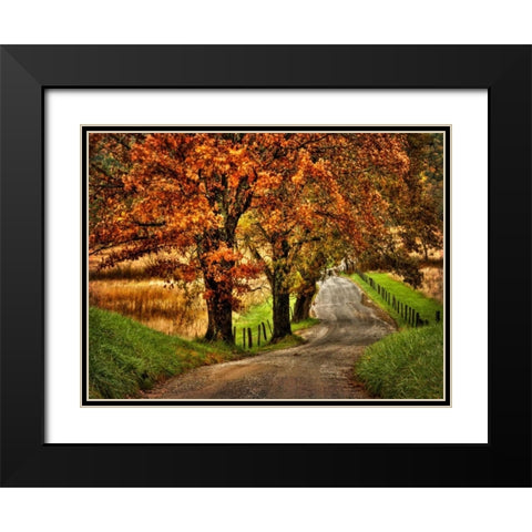 Rainy Morning on Hyatt Lane Black Modern Wood Framed Art Print with Double Matting by Head, Danny