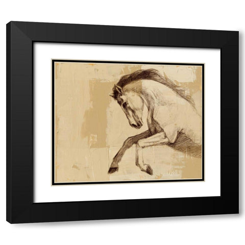 Majestic Horse II Black Modern Wood Framed Art Print with Double Matting by Harper, Ethan