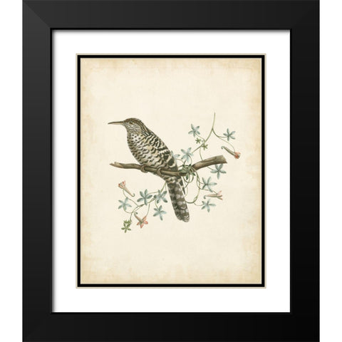 Delicate Birds IV Black Modern Wood Framed Art Print with Double Matting by Unknown