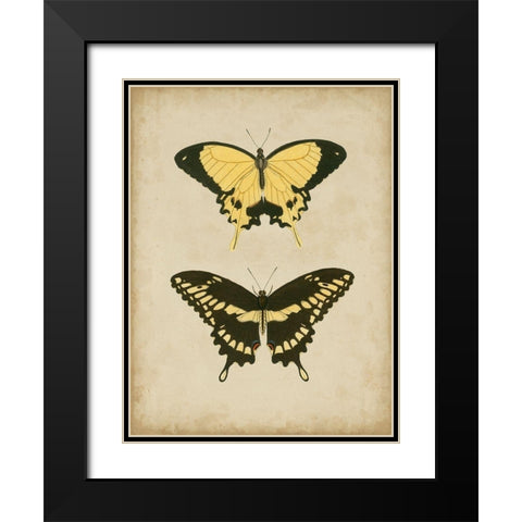 Antique Butterfly Pair I Black Modern Wood Framed Art Print with Double Matting by Vision Studio