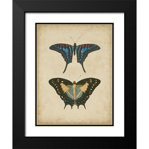 Antique Butterfly Pair III Black Modern Wood Framed Art Print with Double Matting by Vision Studio