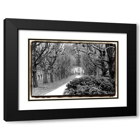 Garden Walk Black Modern Wood Framed Art Print with Double Matting by DeNardo, Laura