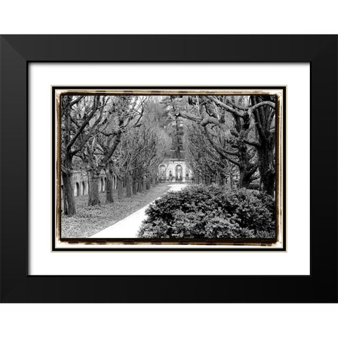 Garden Walk Black Modern Wood Framed Art Print with Double Matting by DeNardo, Laura