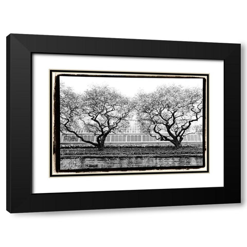 Conservatory II Black Modern Wood Framed Art Print with Double Matting by DeNardo, Laura