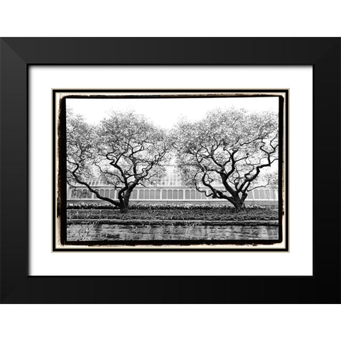 Conservatory II Black Modern Wood Framed Art Print with Double Matting by DeNardo, Laura