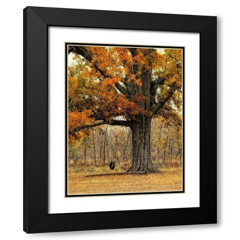 Tree Swing Black Modern Wood Framed Art Print with Double Matting by Head, Danny