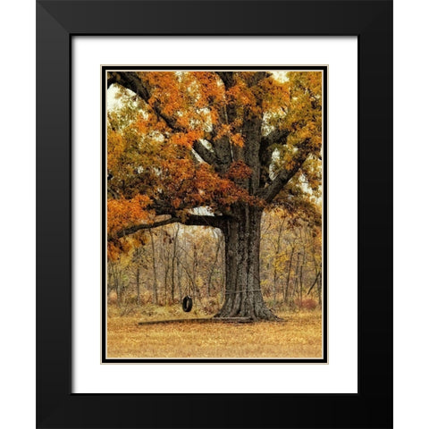 Tree Swing Black Modern Wood Framed Art Print with Double Matting by Head, Danny