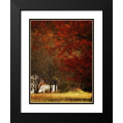 Beyond Octobers Maple Black Modern Wood Framed Art Print with Double Matting by Head, Danny