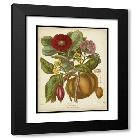 Twining Botanicals I Black Modern Wood Framed Art Print with Double Matting by Twining, Elizabeth