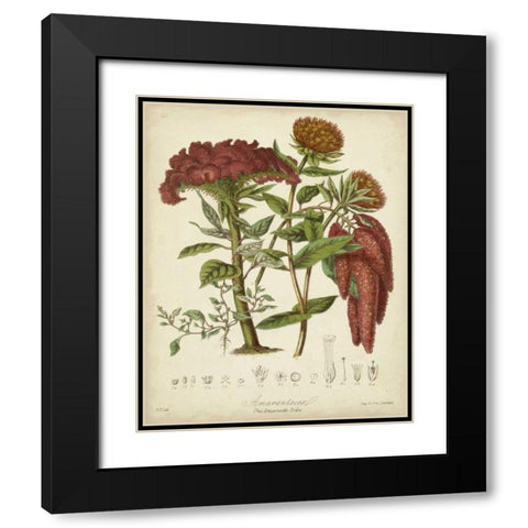 Twining Botanicals II Black Modern Wood Framed Art Print with Double Matting by Twining, Elizabeth
