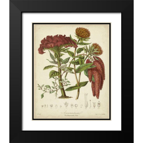 Twining Botanicals II Black Modern Wood Framed Art Print with Double Matting by Twining, Elizabeth