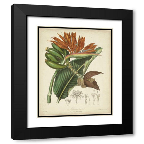 Twining Botanicals III Black Modern Wood Framed Art Print with Double Matting by Twining, Elizabeth