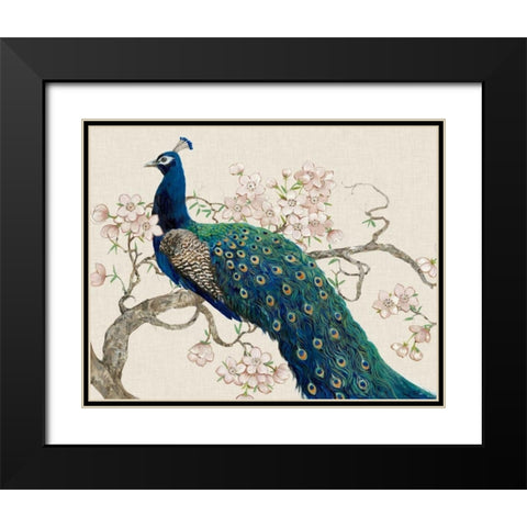 Peacock and Blossoms II Black Modern Wood Framed Art Print with Double Matting by OToole, Tim