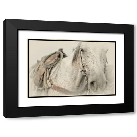 Cow Pony Black Modern Wood Framed Art Print with Double Matting by PHBurchett