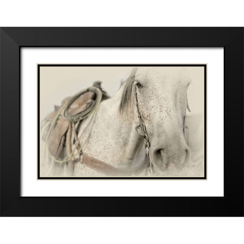 Cow Pony Black Modern Wood Framed Art Print with Double Matting by PHBurchett