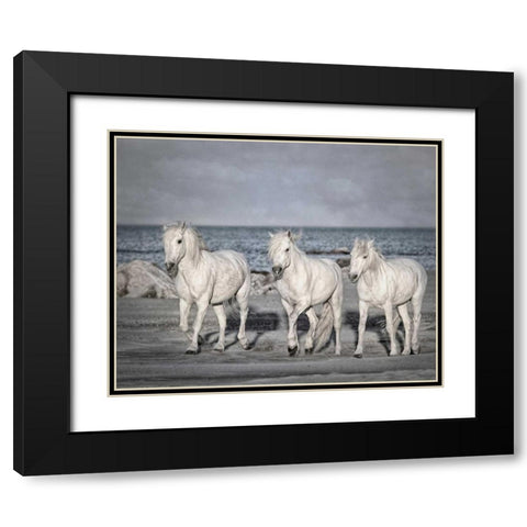 Morning Run Black Modern Wood Framed Art Print with Double Matting by PHBurchett