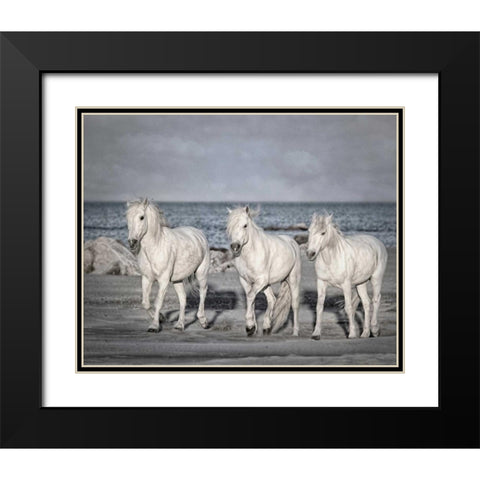 Morning Run Black Modern Wood Framed Art Print with Double Matting by PHBurchett