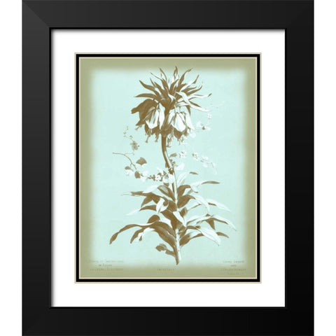 Dussurgey Imperiale on Blue Black Modern Wood Framed Art Print with Double Matting by Dussurgey, Chabal