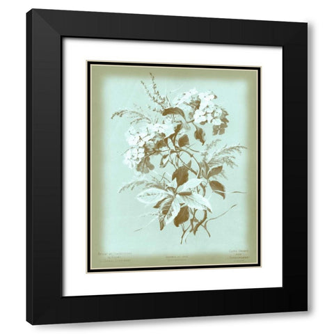Dussurgey Hydrangea on Blue Black Modern Wood Framed Art Print with Double Matting by Dussurgey, Chabal