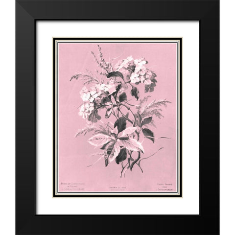 Dussurgey Hydrangea on Pink Black Modern Wood Framed Art Print with Double Matting by Dussurgey, Chabal