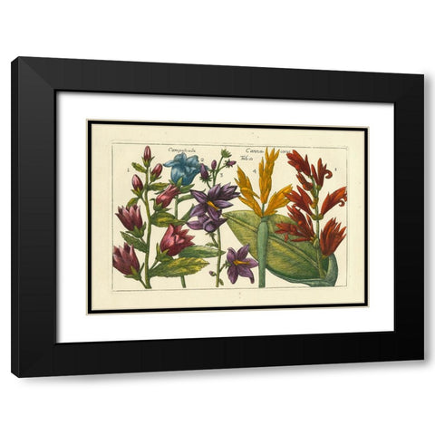 Arena Botanical III Black Modern Wood Framed Art Print with Double Matting by Arena