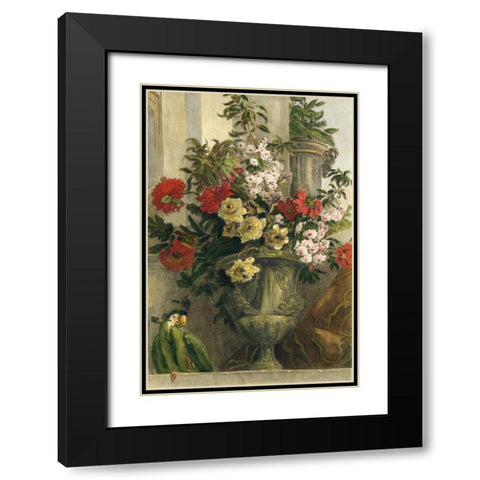 From the Garden Black Modern Wood Framed Art Print with Double Matting by Vision Studio