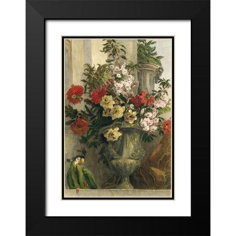 From the Garden Black Modern Wood Framed Art Print with Double Matting by Vision Studio