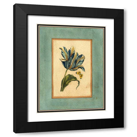 Crackled Spa Blue Tulip II Black Modern Wood Framed Art Print with Double Matting by Vision Studio