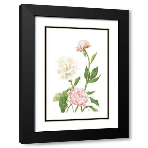 Peony I Black Modern Wood Framed Art Print with Double Matting by Shirley, Pamela